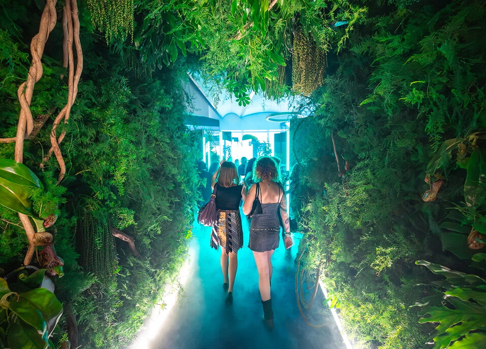 Guests walk a misty jungle tunnel of hanging greenery into the Samsung Galaxy S25 Edge activation